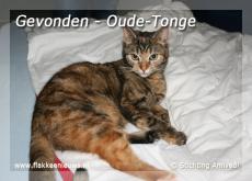 Foto behorende bij Gevonden en vermiste huisdieren week 06-2010