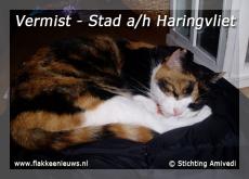Foto behorende bij Gevonden en vermiste huisdieren week 8-2010