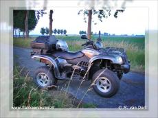 Foto behorende bij Advertorial: Te koop Quad Goes 520 Max luxe