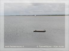 Foto behorende bij Zeehond gesignaleerd in Ouddorp