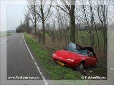 Foto behorende bij Eenzijdig ongeval Oudelandsedijk Middelharnis