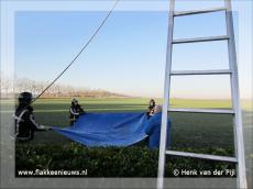 Foto behorende bij Brandweer helpt kat uit de boom