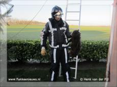 Foto behorende bij Brandweer helpt kat uit de boom
